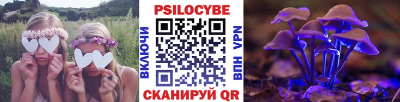 Галлюциногенные грибы GOLDEN TEACHER  купить закладку  omg маркетплейс  Дубовка 